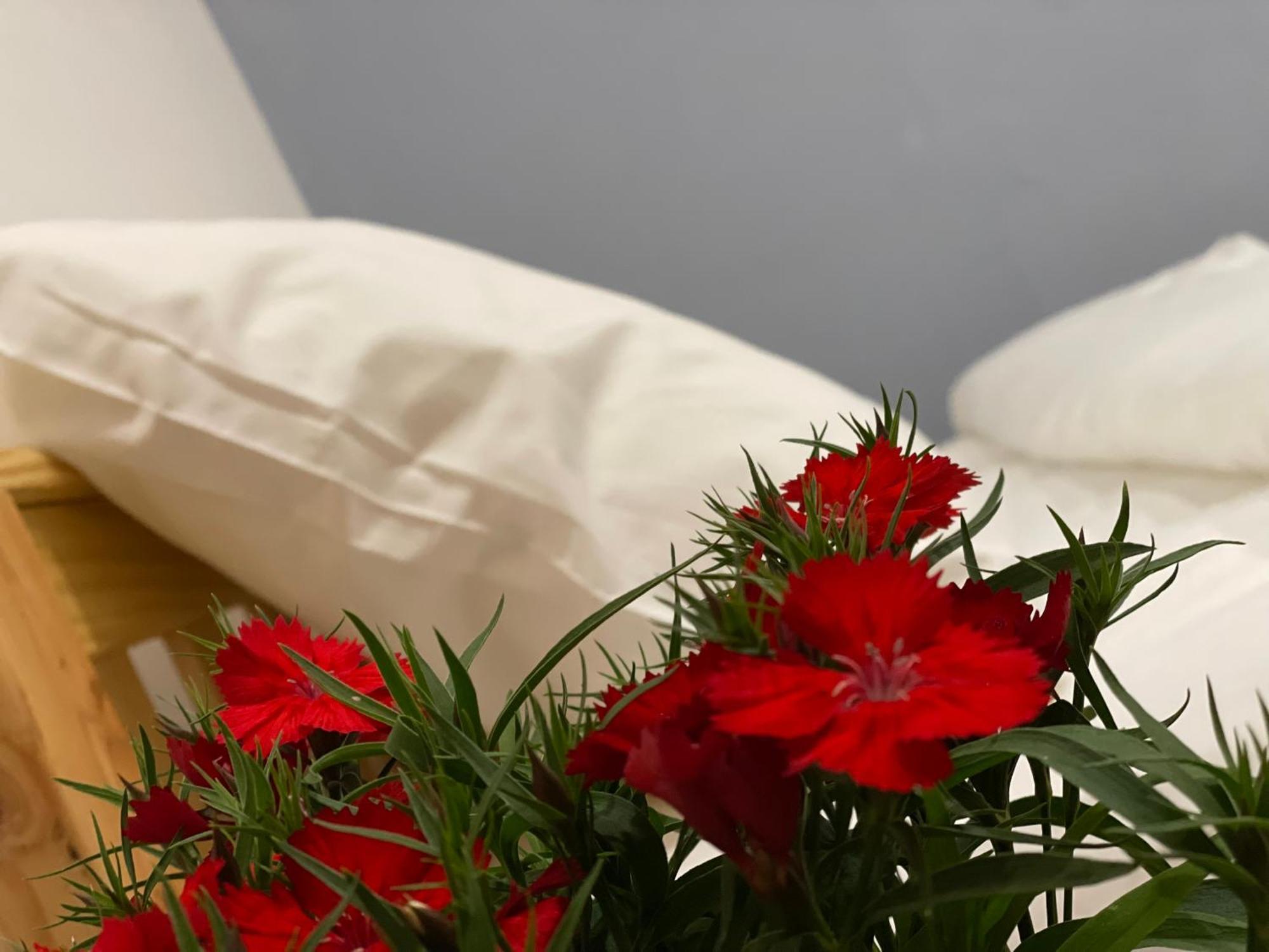 Pleiku Homestay Номер фото